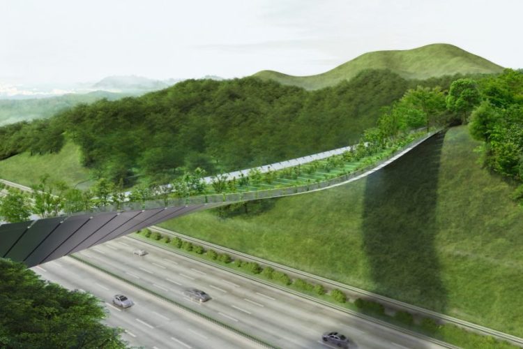 Il ponte verde del futuro: Eco Bridge in Corea del Sud