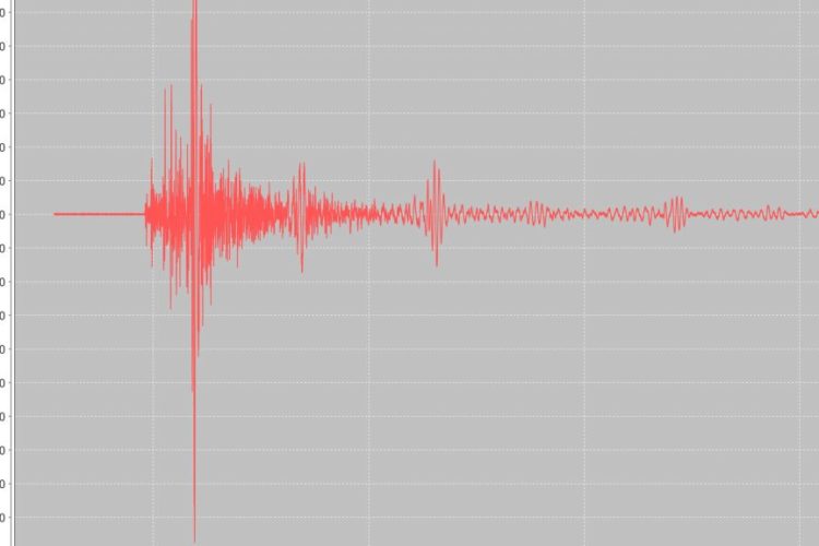 Come è stato costruito il simulatore di onde sismiche di Eucentre