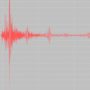 Come è stato costruito il simulatore di onde sismiche di Eucentre